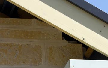 soffit repair Woodmill
