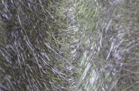 Woodmill fibreglass roof work